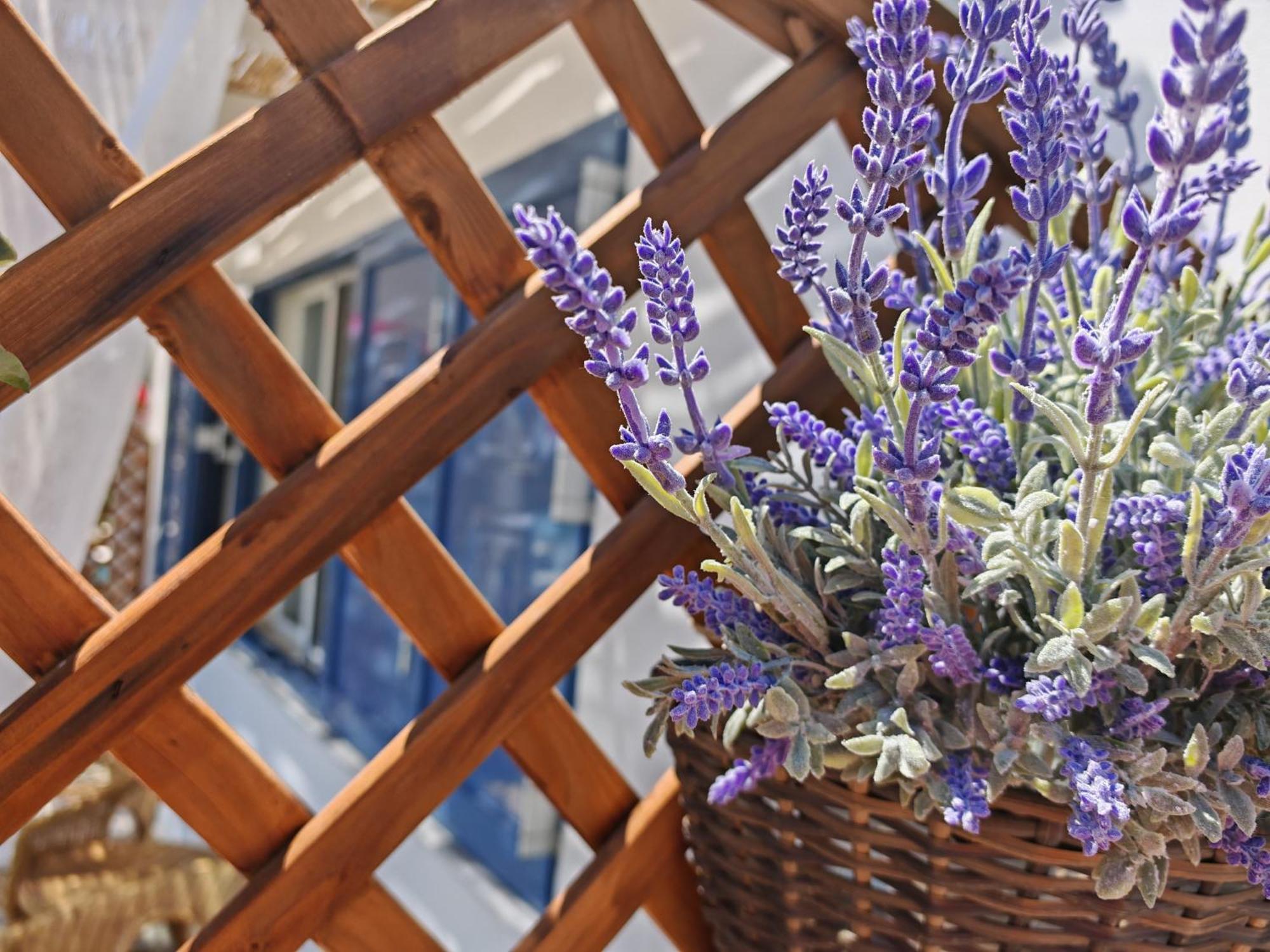 Diana'S Luxury Suites Kythnos Exterior foto
