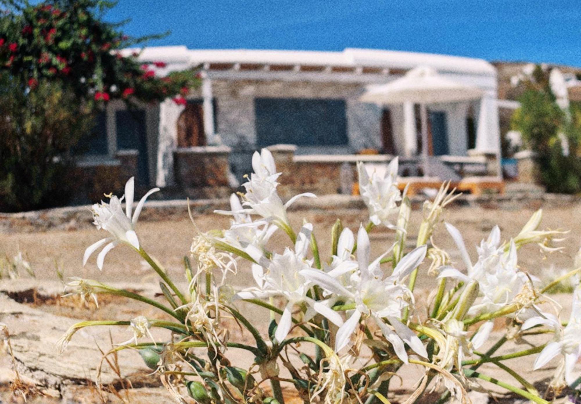 Diana'S Luxury Suites Kythnos Exterior foto